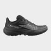 Picture of SALOMON GENESIS BLACK/BLACK/FTW SILVER
